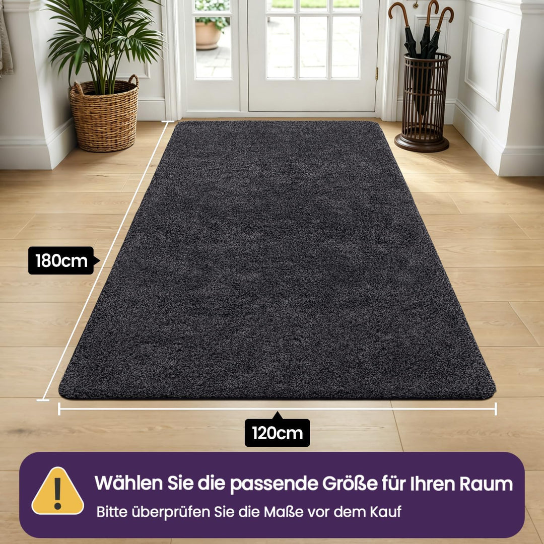 DEXI Fussmatte Innen 120 x 180 cm, rutschfeste Schmutzfangmatte, Maschinenwaschbare Fussmatte, Saugs