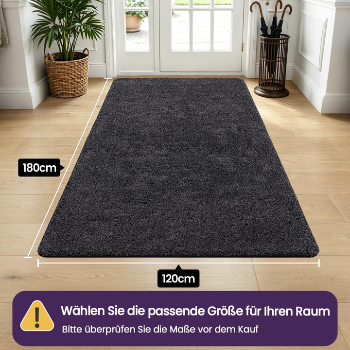 DEXI Fussmatte Innen 120 x 180 cm, rutschfeste Schmutzfangmatte, Maschinenwaschbare Fussmatte, Saugs