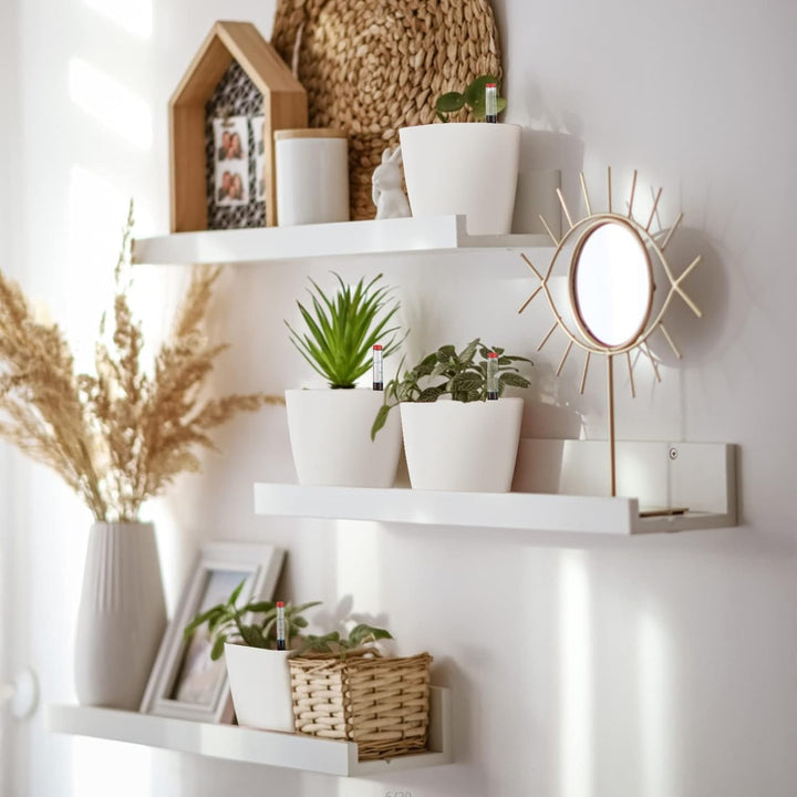 CPROSP 6X Selbstbewässerungstopf mit Wasserstandsanzeigen, Kräutertopf Selbstbewässernd 13,7 * 13,5