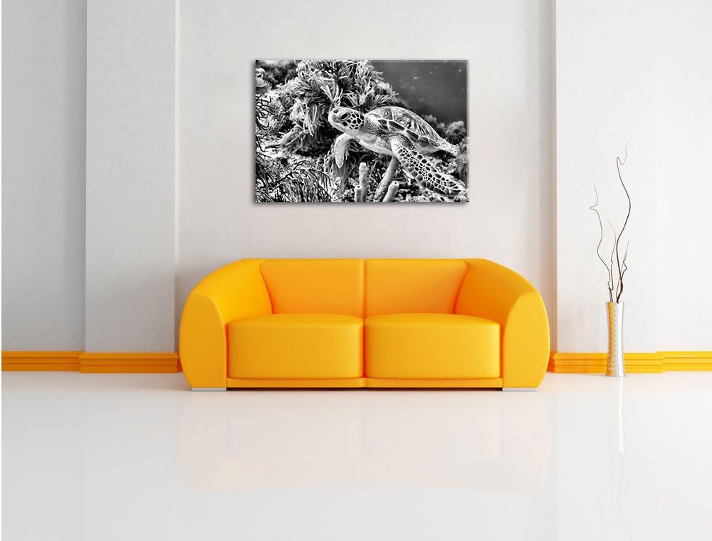 Pixxprint Meeresschildkröte / 100x70cm Leinwandbild bespannt auf Holzrahmen/Wandbild Kunstdruck Deko