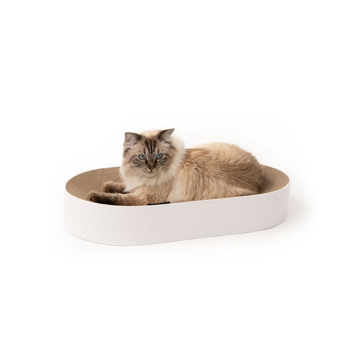 LucyBalu® SCRATCHBED Katzen Kratzbett| Katzenbett aus Pappe | Kartonbett | XXLKratzbrett für Katzen