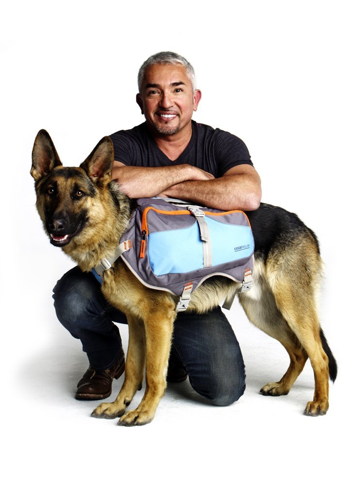 Cesar Millan Dog Backpack™ - Hunderucksack des Hundeflüsterers Cesar Millan™, L