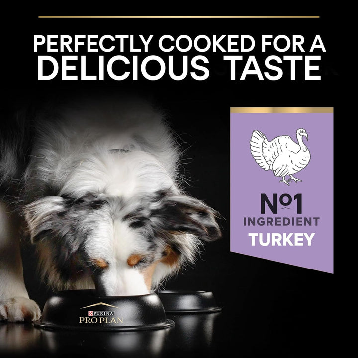 PURINA PRO PLAN GRAIN FREE Medium & Large Adult Sensitive Digestion, Hundefutter trocken, reich an T