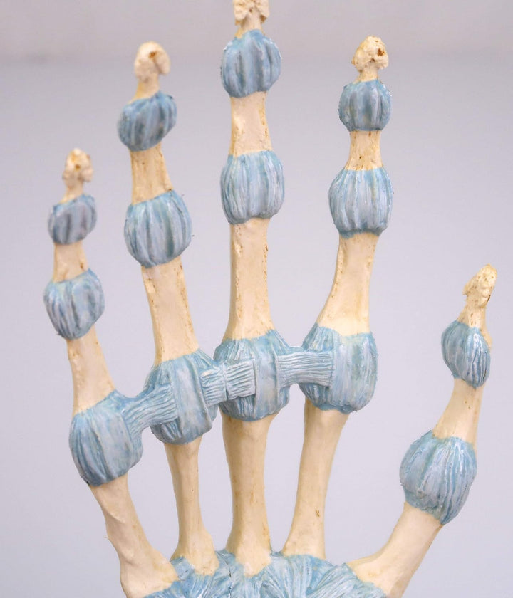 3B Scientific Menschliche Anatomie - Modell des Handskeletts mit Bändern und Karpaltunnel + kostenlo