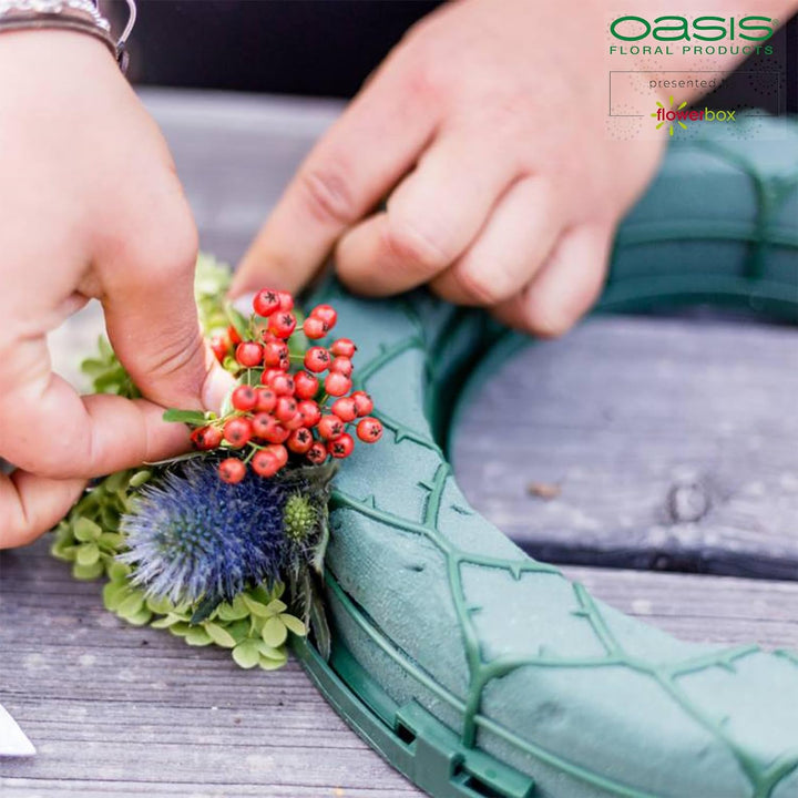 Flowerbox Oasis Steckschaum IDEAL Universal Ring Ø27cm Steckmasse Steckschwamm - 3 Stück