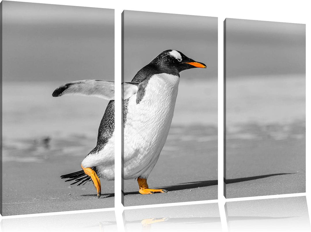 watschelnder Pinguin am Strand schwarz/weiss 3-Teiler Leinwandbild 120x80 Bild auf Leinwand, XXL rie