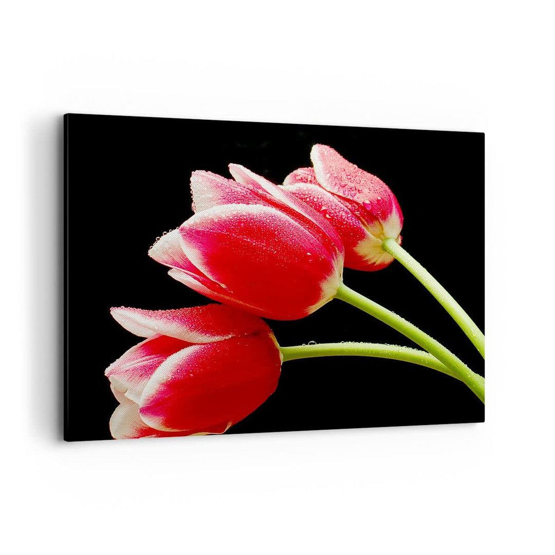 Bilder auf Leinwand 100x70cm Leinwandbild Tulpe garten blume blumenstrauss Gross Wanddeko Bild Schla