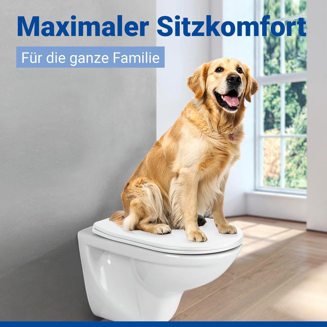 WENKO WC-Sitz Galati, flacher Toilettensitz in D-Form mit Absenkautomatik, aus Duroplast, Fix-Clip-B