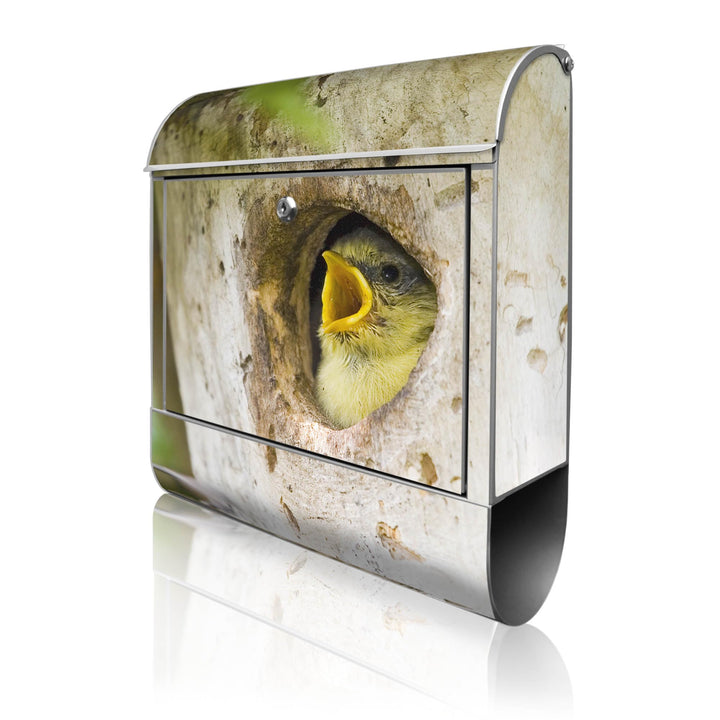 banjado® Design Briefkasten mit Motiv Blaumeise 39x47x14cm &amp; 2 Schlüssel - Briefkasten Stahl Silber