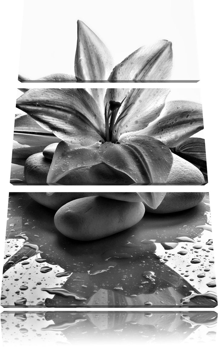 Pixxprint Blaue Lilie und Tulpe als Leinwandbild/Grösse: 3 Teilig (120x80) cm/Wandbild/Kunstdruck/fe