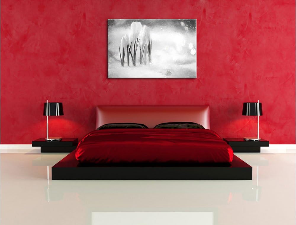 Pixxprint Schneeglöckchen im Frühjahr Kunst Kohle Effekt, Format: 100x70 auf Leinwand, XXL riesige B