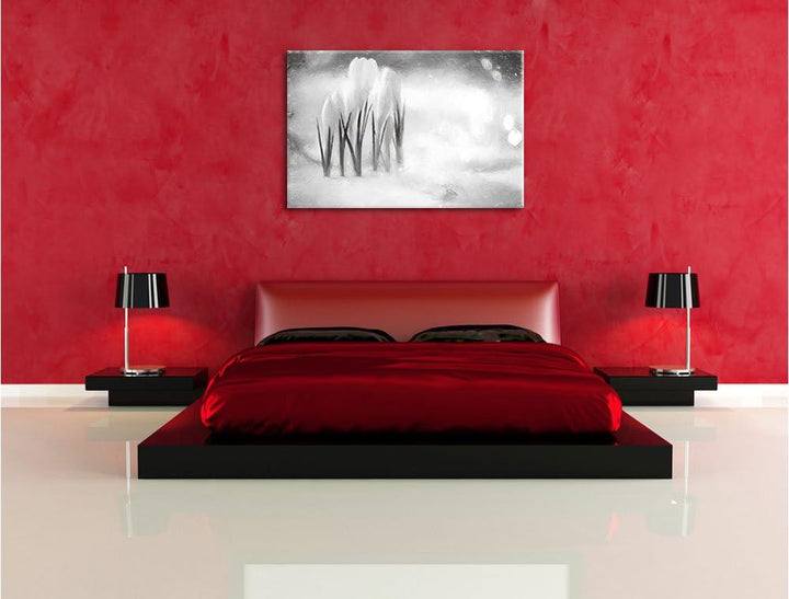 Pixxprint Schneeglöckchen im Frühjahr Kunst Kohle Effekt, Format: 100x70 auf Leinwand, XXL riesige B