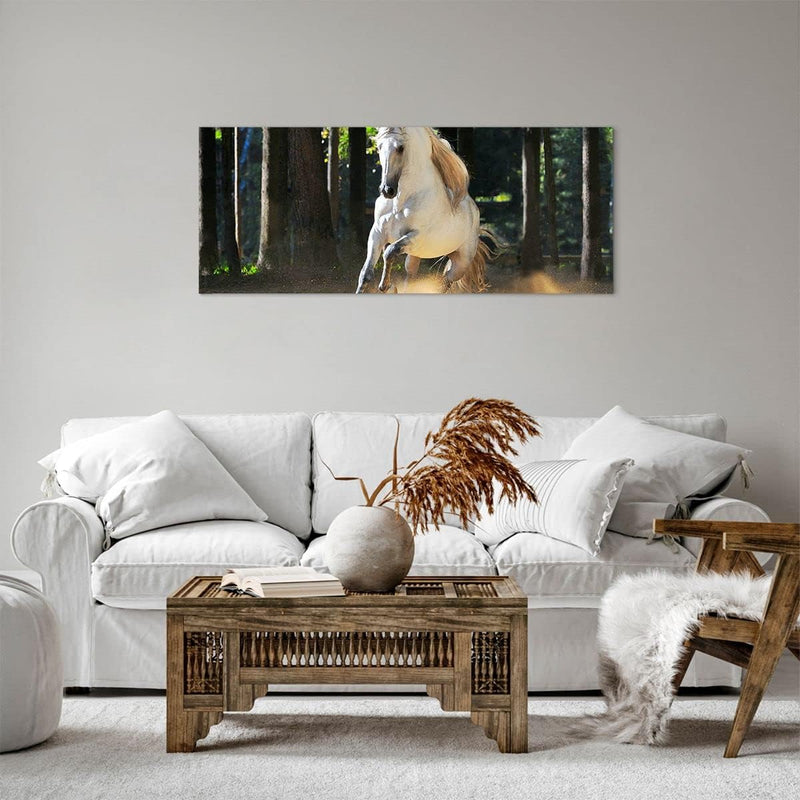 Panorama Bilder auf Leinwand 100x40cm Leinwandbild Staub Emotionen Pferd Natur Gross Wanddeko Bild S