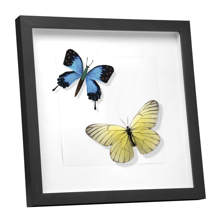 EUGAD 3D Bilderrahmen zum befüllen 30x30 3er Set, Objektrahmen Tiefer 1.5cm | Schwarz, 1,5cm Tiefe,