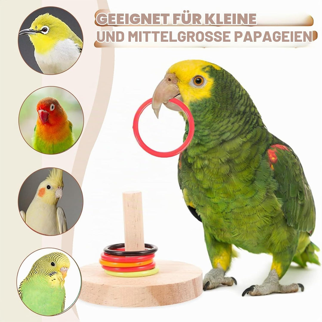 WisherMar 5 Stück Vogelspielzeug für Papageien, Training – Trainingsspielzeug mit Tretroller, Basket