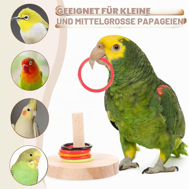WisherMar 5 Stück Vogelspielzeug für Papageien, Training – Trainingsspielzeug mit Tretroller, Basket