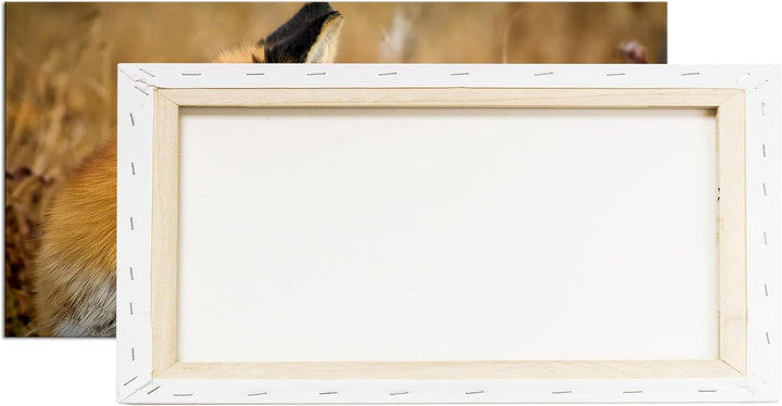 Kleiner Fuchs im Getreidefeld Panorama 80x40 cm als Leinwandbild, Motiv fertig gerahmt auf Echtholzr