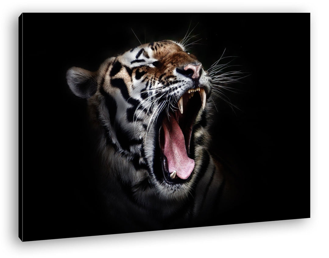 deyoli Dark brüllender Tiger Format: 100x70 als Leinwandbild, Motiv fertig gerahmt auf Echtholzrahme