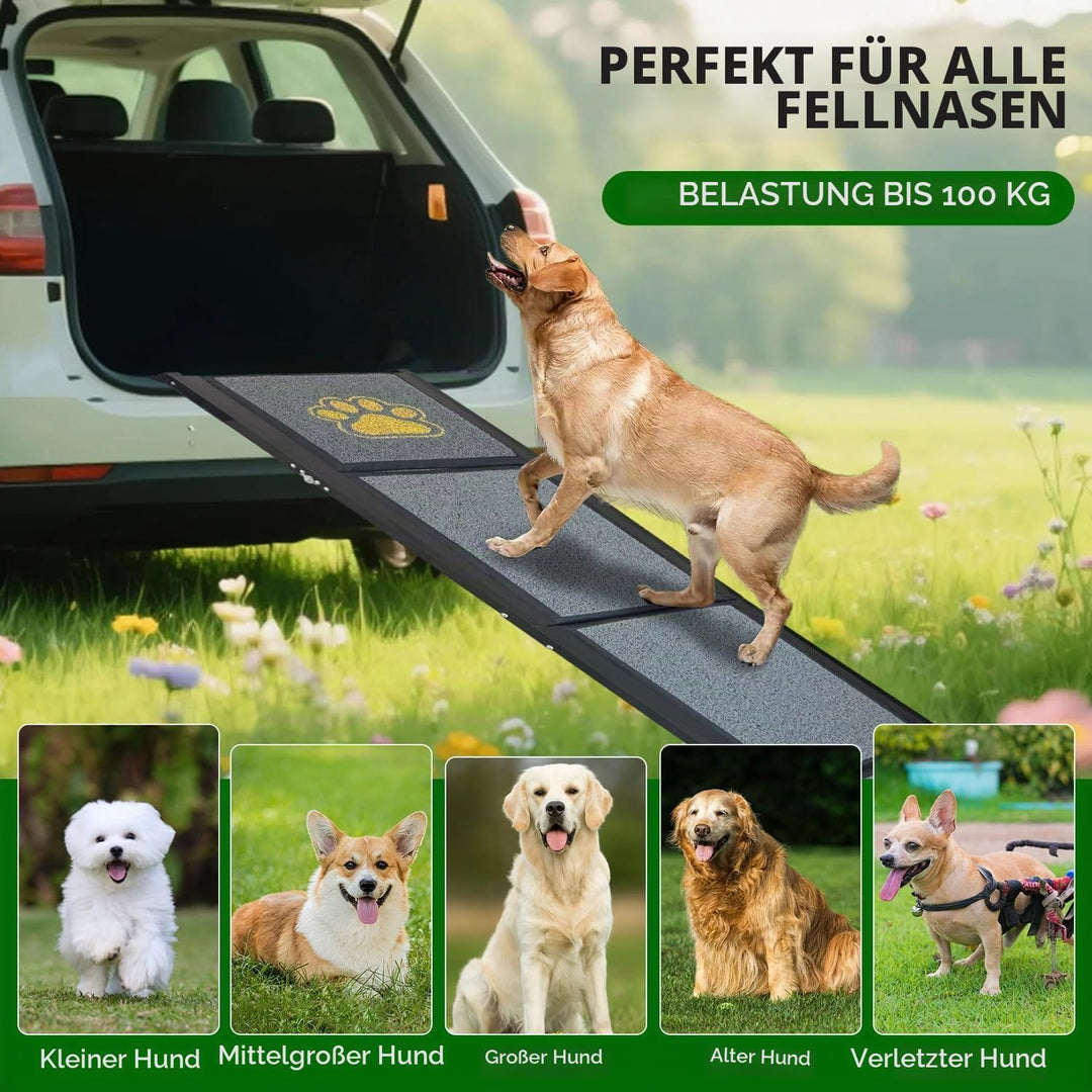 Hunderampe Auto Klappbar 170 x 50 cm Grau, mit Rutschfester Teppichoberfläche, bis 70 kg, Leicht Alu
