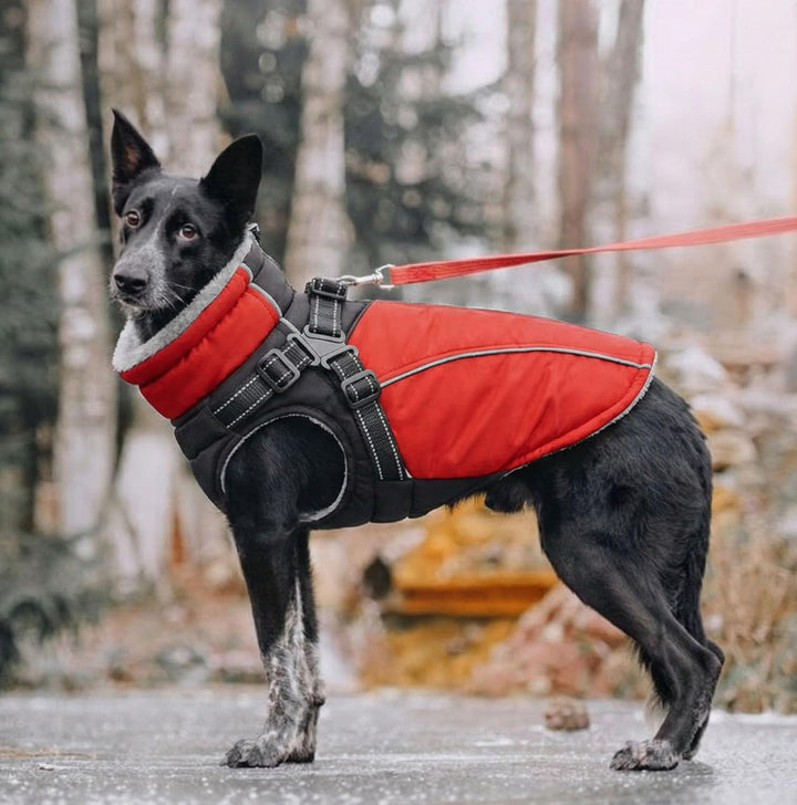 Hundemantel mit Geschirr Hundejacke für Kleine und Mittelgrosse Hunde Gepolsterte Wasserdicht Winter