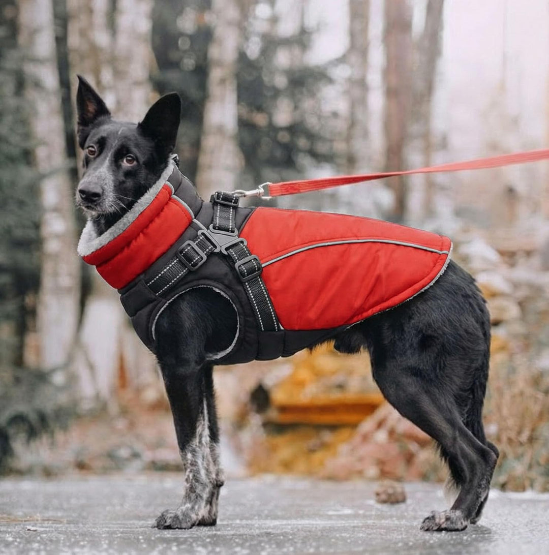 Hundemantel für Kleine Hunde Wintermantel Hund mit Geschirr Wasserdicht Hunde Jacke Reflektierende Ä