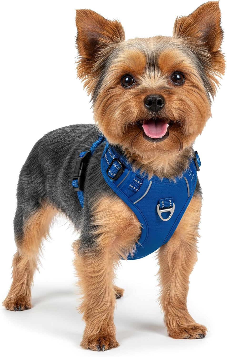Reichstadt Pets Hundegeschirr Kleine Hunde 25RSP083 Blue S | Verstellbares No-Pull Geschirr mit Grif