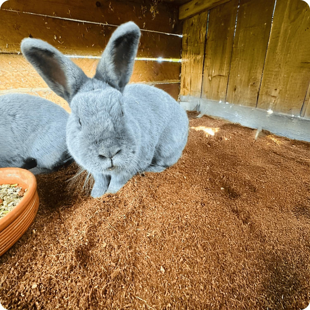 Allkokos Kokoskleintiereinstreu (2x40 Liter) 2 x 40 Liter Kokoseinstreu, 2 x 40 Liter Kokoseinstreu