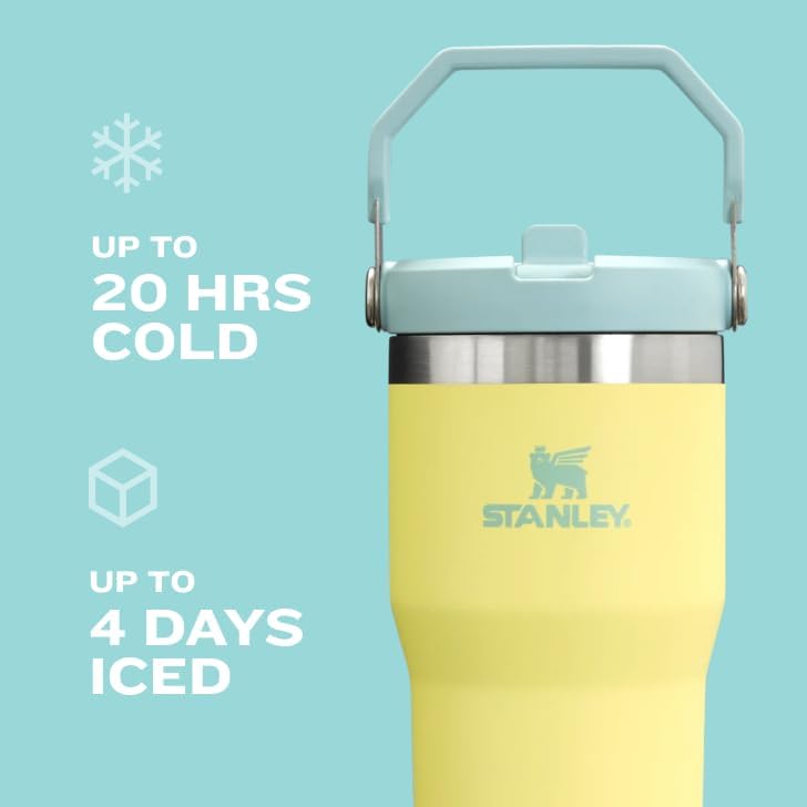 Stanley The IceFlow Flip Straw Tumbler 590 g Schwarz, 590 g Schwarz