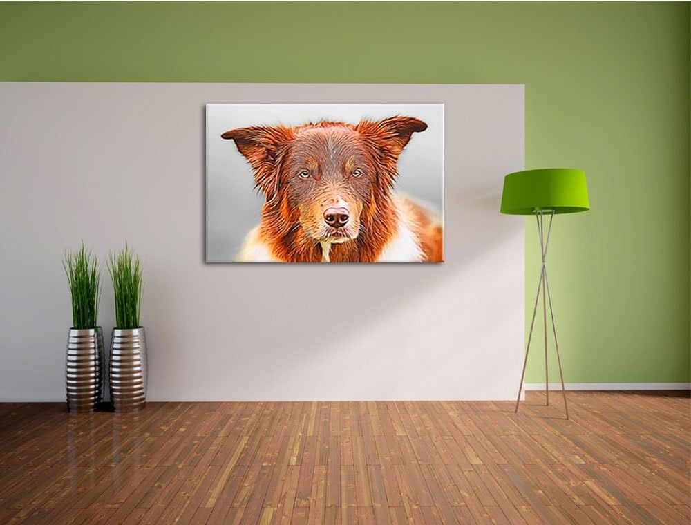 bildschöner Australian Shepherd Mischling Format: 100x70 auf Leinwand, XXL riesige Bilder fertig ger