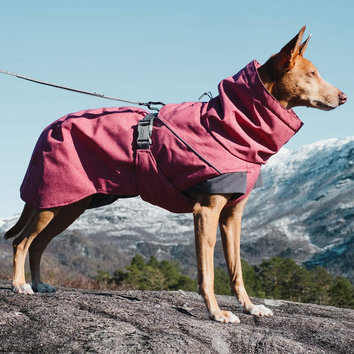 Hurtta Expedition Parka Wintermantel für Hunde, Hundemantel Beetroot, dunkel rosa 45XS Rot - Beetroo