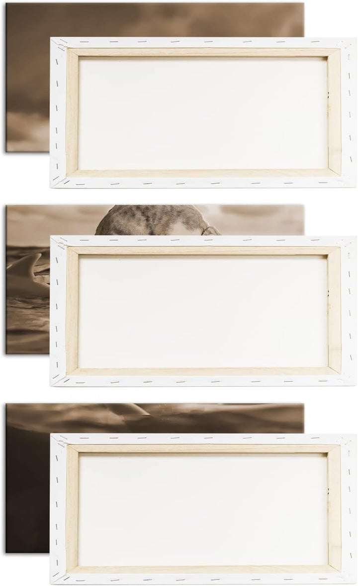 deyoli Katze im Hai verseuchten Gewässer Format: 3Teilig Effekt: Sepia als Leinwandbild, Motiv ferti