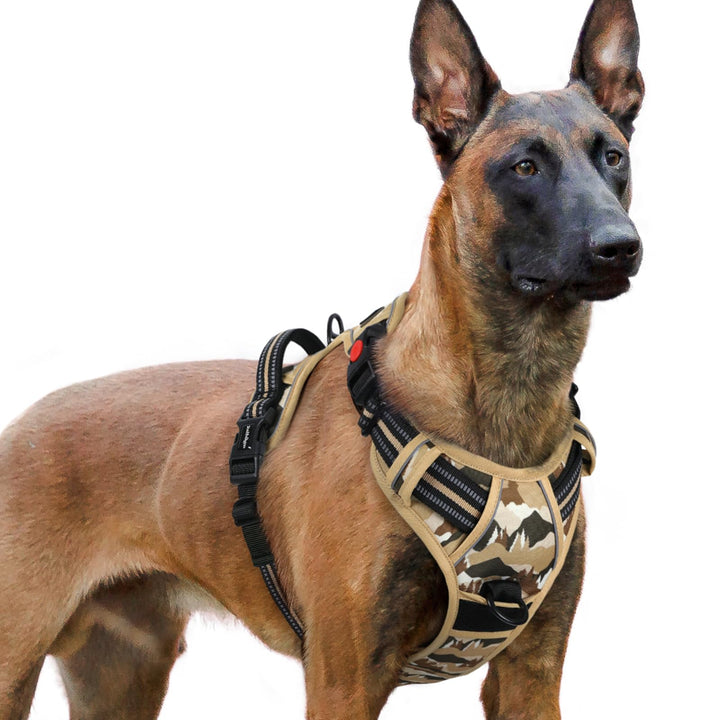 rabbitgoo Hundegeschirr Grosse Hunde Leichtes Anlegen, XL, Bergkhaki | Anti Zug, Ohne Kopfdurchzug,