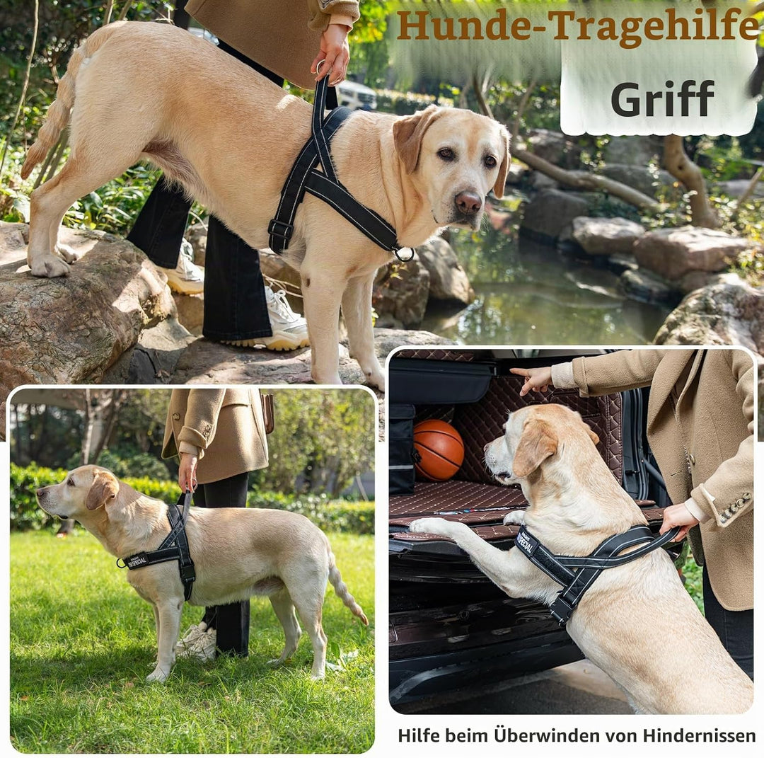 No Pull Hundegeschirr für kleine mittelgrosse Hunde, reflektierend ausbruchsicher verstellbar ohne Z
