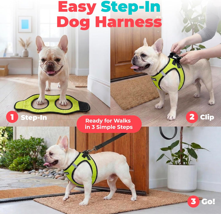 Voyager Step-In Air-Hundegeschirr – Allwetter-Mesh-Weste für kleine und mittelgrosse Hunde und Katze