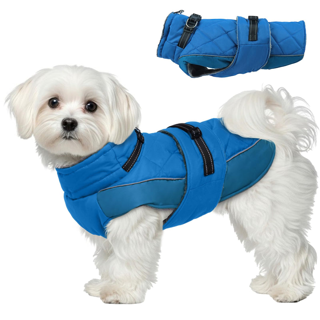 Hund Mantel S, Hunde Wintermantel mit Hohem Kragen, Wintermantel Hund für Kleine Hunde, Hundejacke f