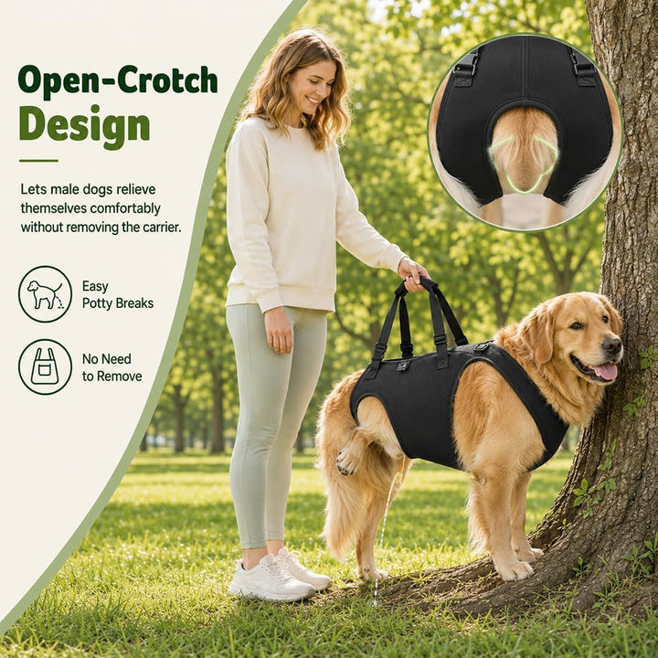 Tragehilfe Hund, Hunde Tragehilfe, Tragegurt Hund mit Verstellbaren Griffen | Tragegeschirr Hund, Tr