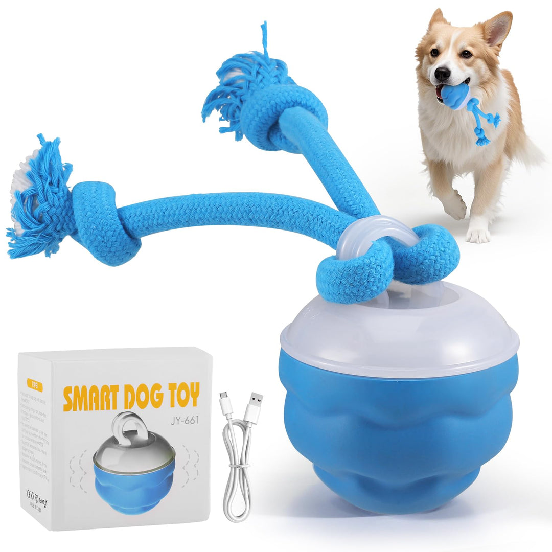Interaktiver Ball, Rollt &amp; Springt, USB-C, für kleine Hunde blau, blau