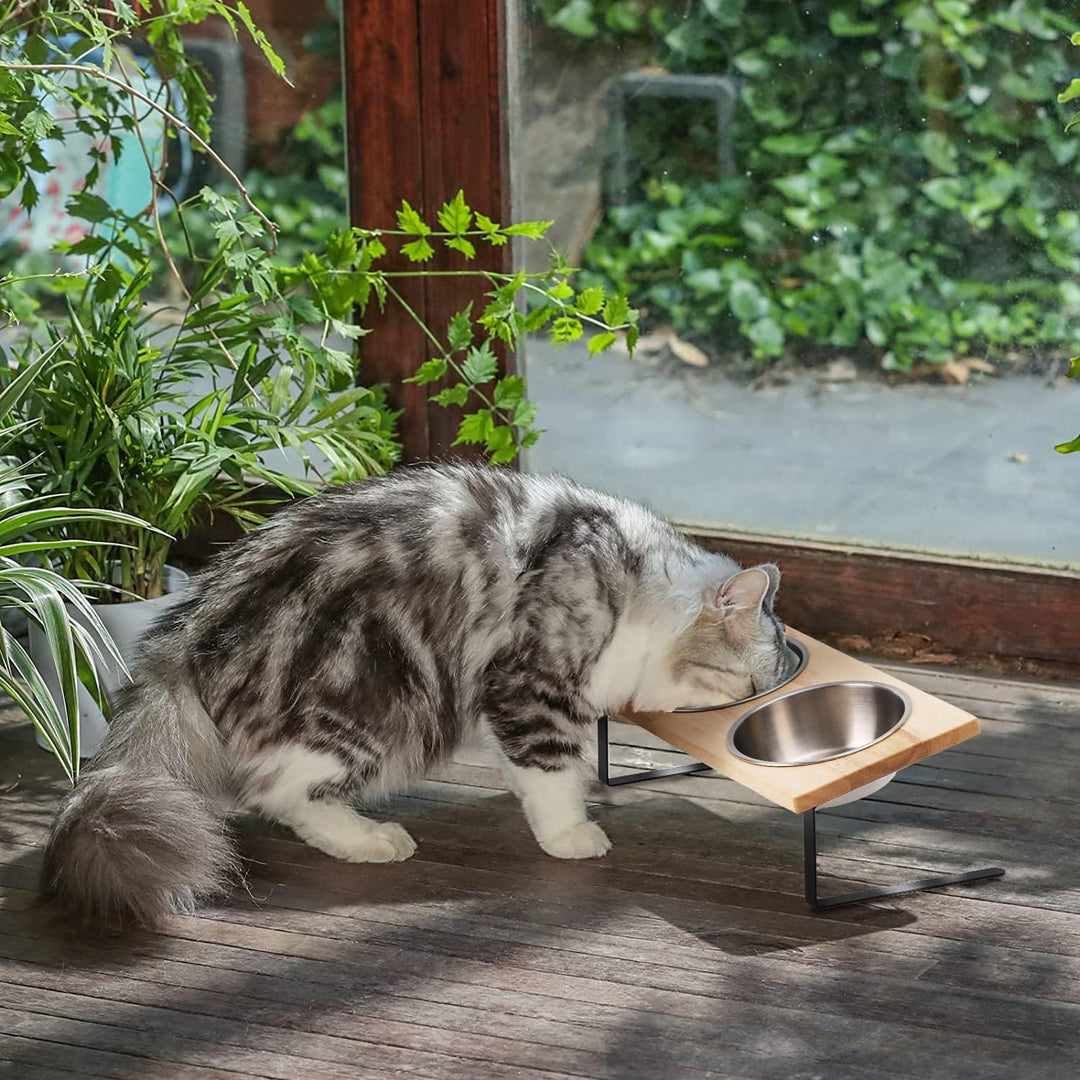 FUKUAMRU Katzennapf Erhöht, Rutschfester Fressnapf aus Edelstahl in Lebensmittelqualität & Gummiholz