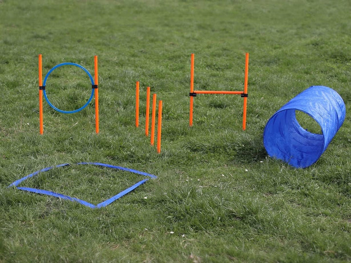 Lemodo Agility Set für kleine und mittlere Hunde | Hundetraining mit Agility Hürde, Hundetunnel und