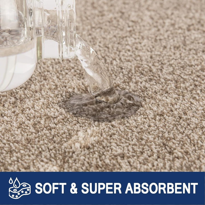 FCSDETAIL Schmutzfangmatte Innen 80 x 120 cm, rutschfeste Maschinenwaschbare Fussmatte, Sauberlaufma