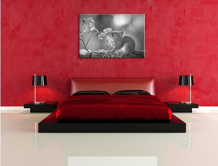 Pixxprint süsses Eichhörnchen riecht an Einer Blume Kunst B&amp;W, Format: 100x70 auf Leinwand, XXL ries