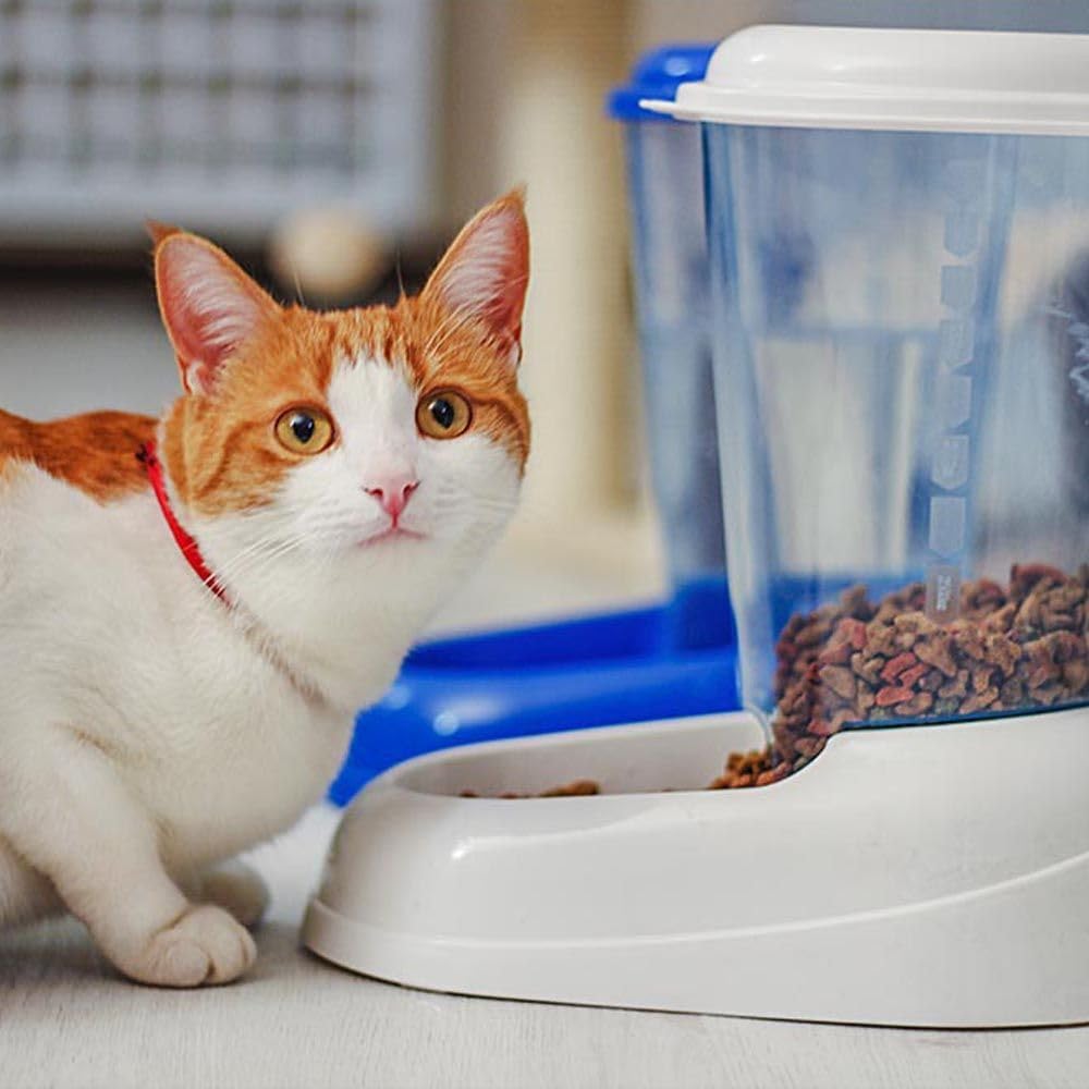 Ferplast Trockenfutter-Spender für Hunde und Katzen 3 Liter Zenith Praktischer Spender Futter-Spende