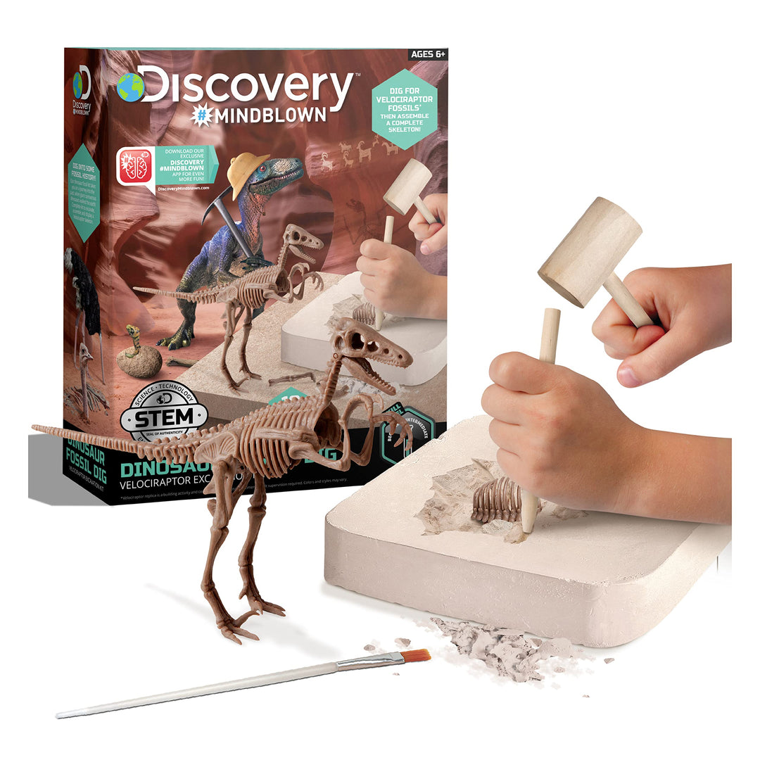 Discovery #Mindblown 1423004881 - Dinosaur Fossil Dig Velociraptor - Ausgrabungsset Dinosaurier - fü