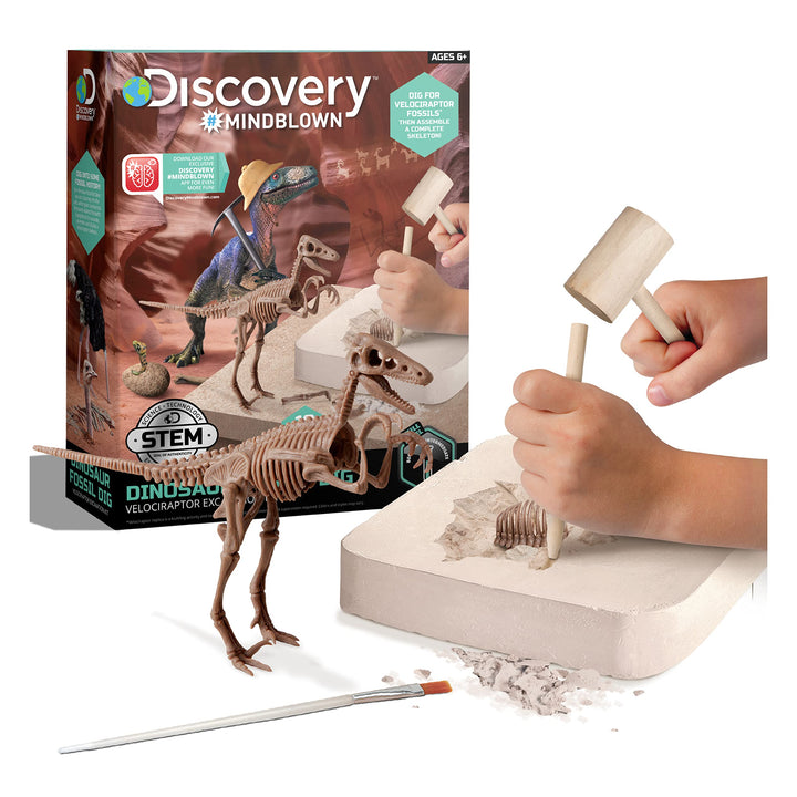 Discovery #Mindblown 1423004881 - Dinosaur Fossil Dig Velociraptor - Ausgrabungsset Dinosaurier - fü