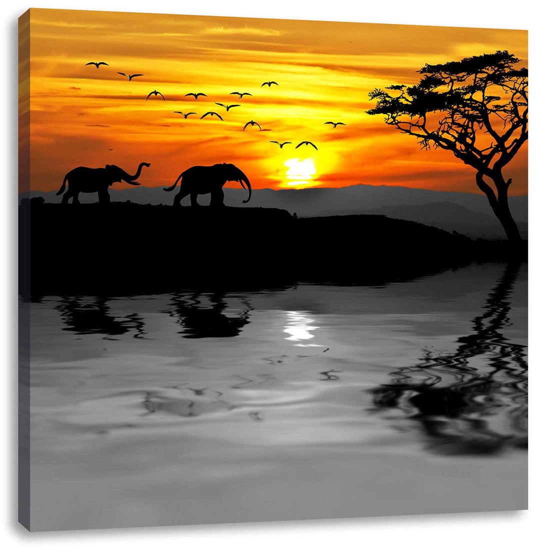 Pixxprint Afrikanische Steppe mit Elefanten schwarz/weiss, Format: 70x70 auf Leinwand, 70x70