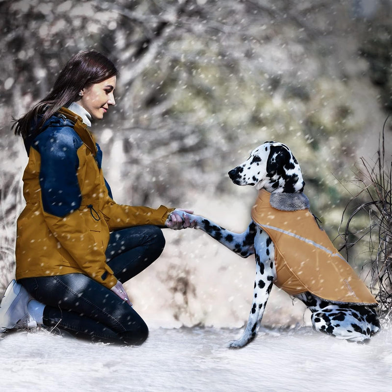 VIVAGLORY Winterjacke für Hunde, Warme Hundemäntel für kaltes Wetter Leicht Fleecefutter, Hundemänte