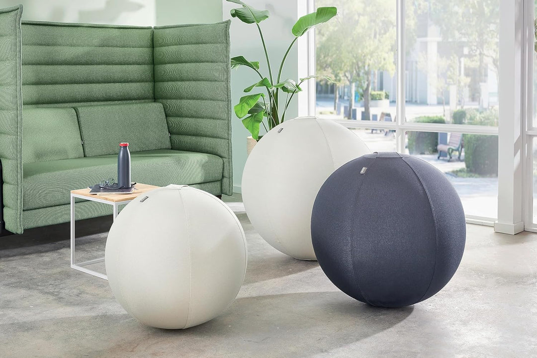 Leitz Ergo Active Sitzball mit Anti-Wegroll-Funktion, Ergonomische Alternative zum Bürostuhl, Gymnas