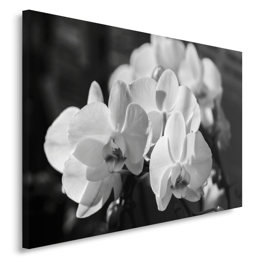 Feeby. Wandbild - 1 Teilig - 50x70 cm, Leinwand Bild Leinwandbilder Bilder Wandbilder Kunstdruck, OR