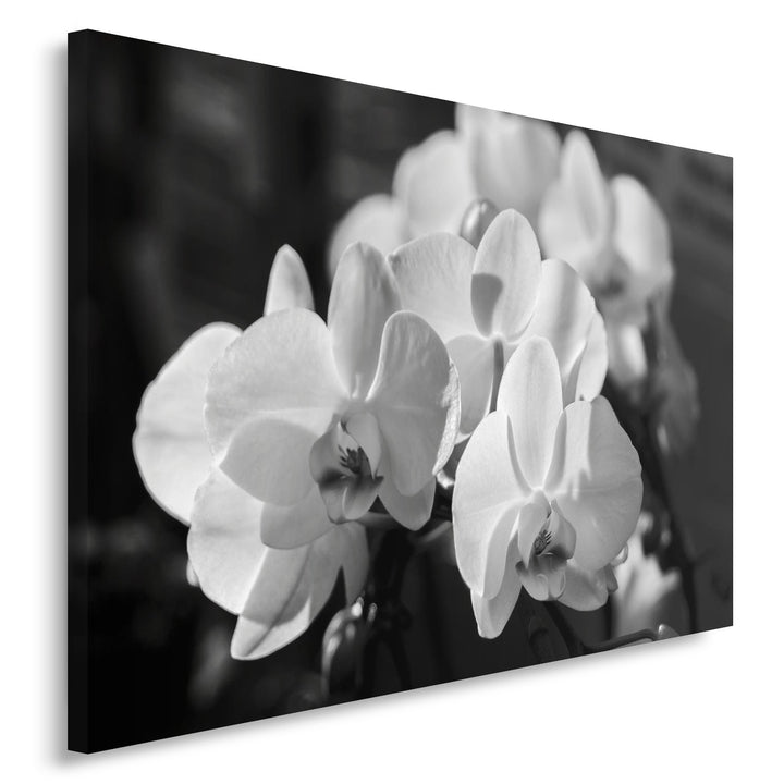 Feeby. Wandbild - 1 Teilig - 50x70 cm, Leinwand Bild Leinwandbilder Bilder Wandbilder Kunstdruck, OR