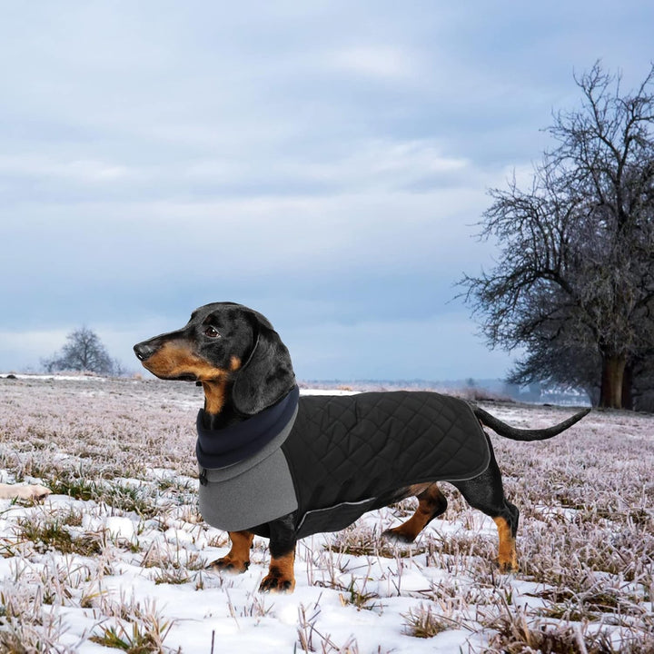 Geyecete Hundemantel Dackel, Dackel Wintermantel, Warmer Quilten Dackelmantel mit Geschirr Loch,Wind
